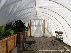 greenhouse-film-applied_04